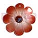 Wooden Pendants 30mm Graduated Orange Brown Hammershell Flower W/ Dotted Skin Nectar