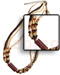 Bone Horn  Necklaces 4 Rows 2-3mm Coco Heishe Black/bleach/glass Beads W/ Amber Bone Tube
