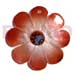 Coco Pendants 30mm Graduated Orange Brown Hammershell Flower W/ Dotted Skin Nectar