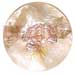 Shell Pendants Round 40mm Hammershell W/ Handpainted Design - Floral/embossed