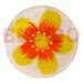 Shell Pendants Round Natural 50mm Capiz Shell W/ Handpainted Design
